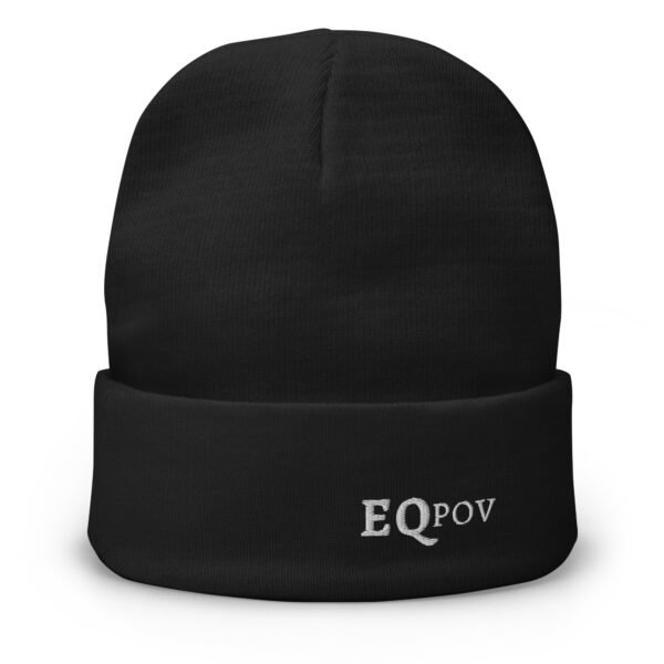 Beanie Pegasus D