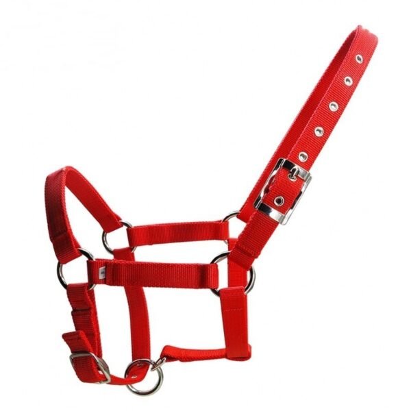 Head Collar I - Image 2