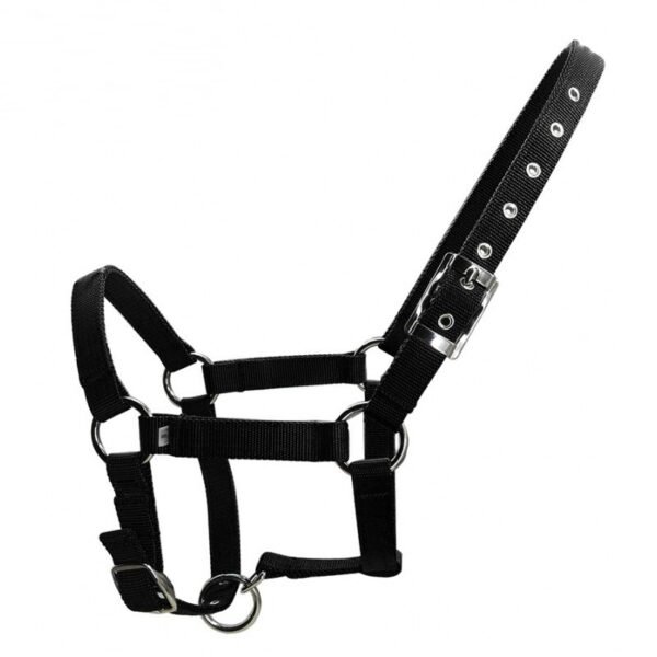 Head Collar I