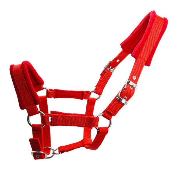 Head Collar II - Image 2