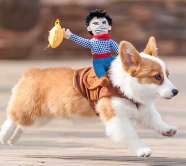Dog Costume - Image 5