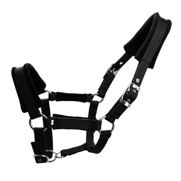 Head Collar II