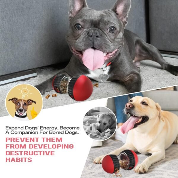 Pet Slow Feeder - Image 8