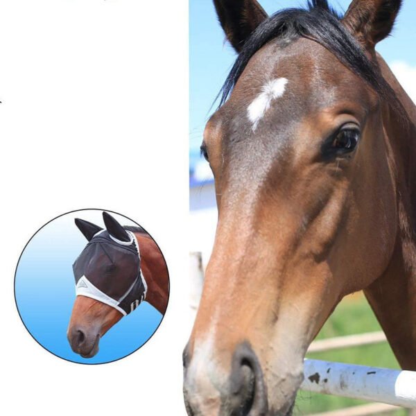 Fly Mask I - Image 2