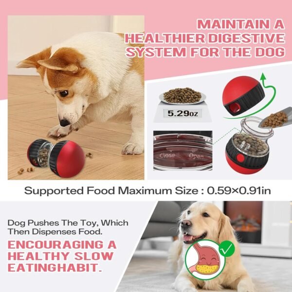 Pet Slow Feeder - Image 3