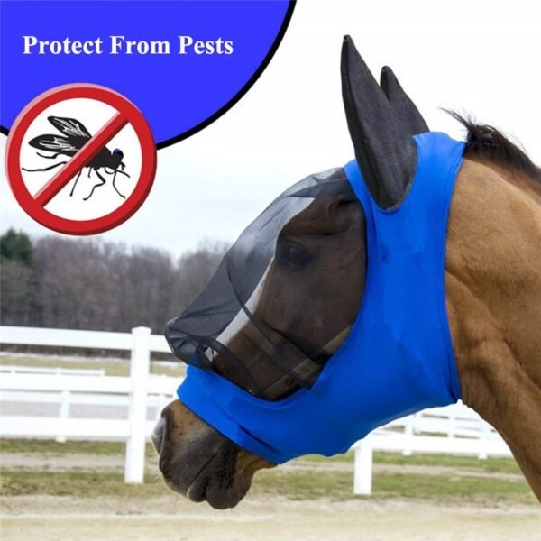 Fly Mask II