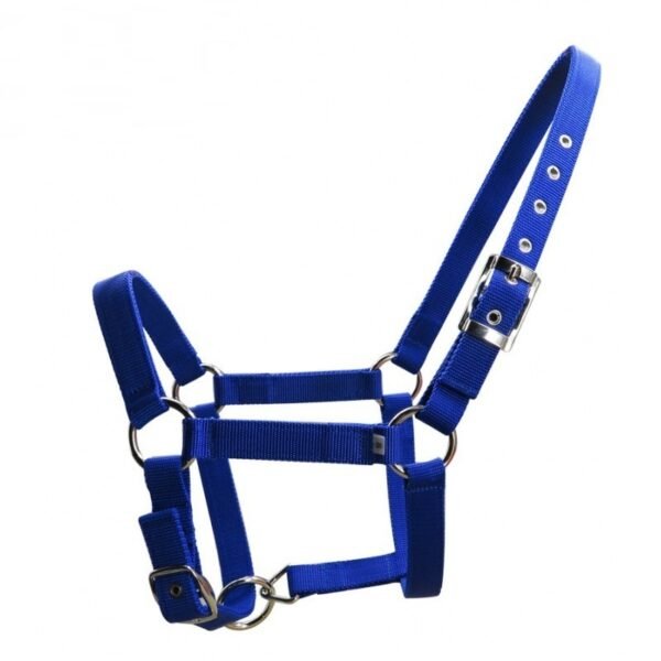 Head Collar I - Image 4