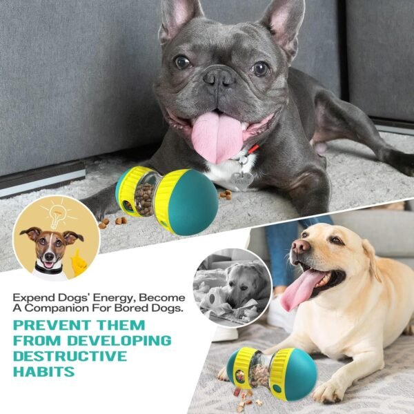 Pet Slow Feeder - Image 9