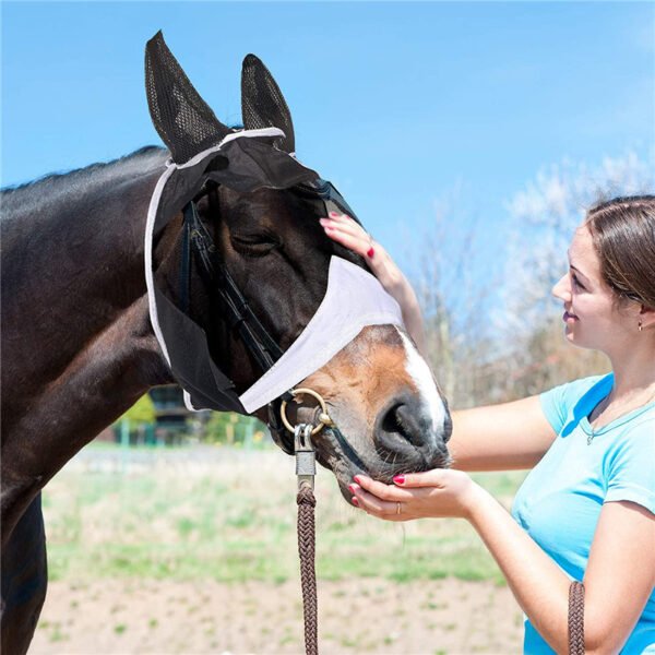 Fly Mask I - Image 4