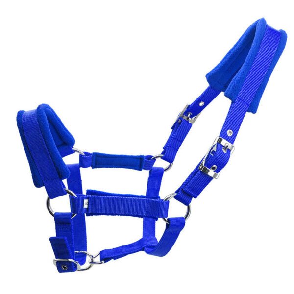 Head Collar II - Image 3